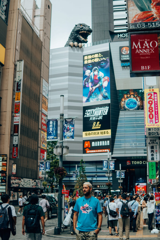 japonia, tokio, najlepsze atrakcje tokio, miejsca w tokio, dzielnice tokio, top atrakcje tokio, shibuya crossing, panda 3d, kot 3d, anime, manga, amayeko, sumida, akihabaram shibuya