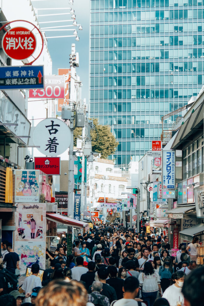 japonia, tokio, najlepsze atrakcje tokio, miejsca w tokio, dzielnice tokio, top atrakcje tokio, shibuya crossing, panda 3d, kot 3d, anime, manga, amayeko, sumida, akihabaram shibuya