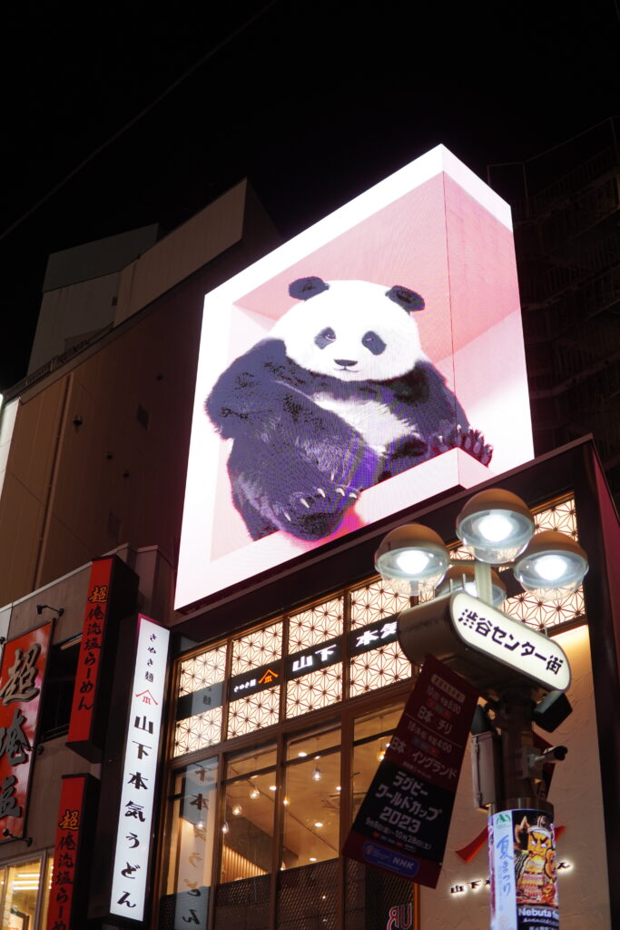 japonia, tokio, najlepsze atrakcje tokio, miejsca w tokio, dzielnice tokio, top atrakcje tokio, shibuya crossing, panda 3d, kot 3d, anime, manga, amayeko, sumida, akihabaram shibuya