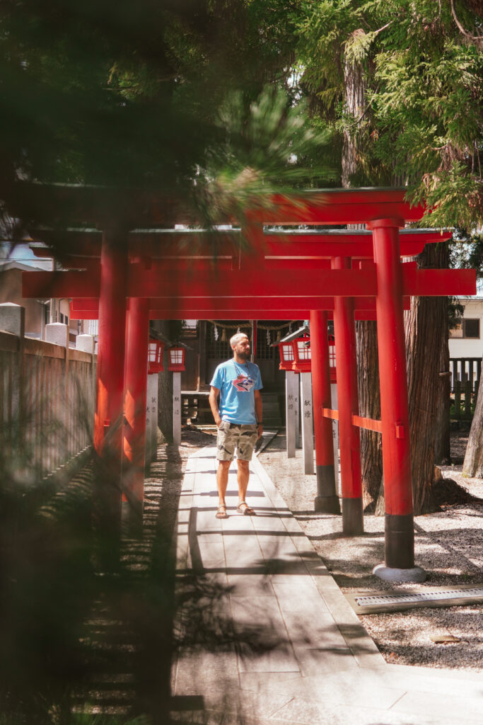 Japonia, Takayama, Alpy Japońskie, wieś Japońska, azja