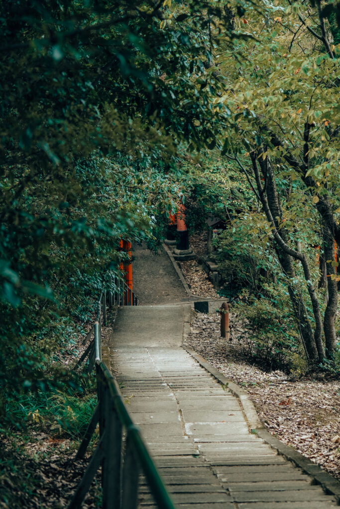 japonia, kioto, tokio, osaka, azja, świątynie, alpy japońskie, atrakcje japonia