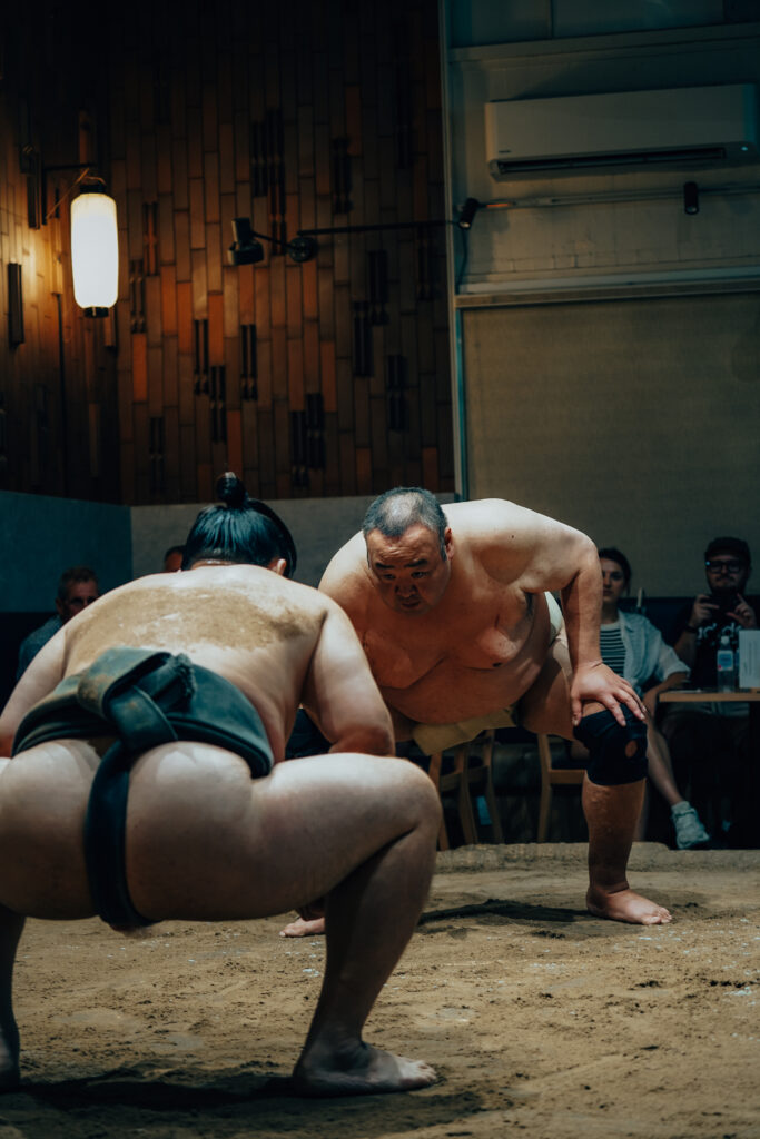 japonia, tokio, najlepsze atrakcje w tokio, miejsca w tokio, dzielnice tokio, top atrakcje tokio, shibuya crossing, panda 3d, kot 3d, anime, manga, amayeko, sumida, akihabaram shibuya, japonia, transport w tokio, sumo tokio, asakusa, teamlab planet