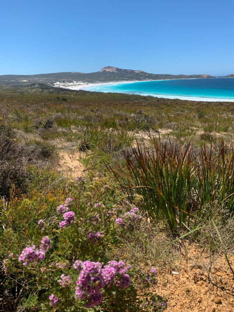 polacy na emigracji, o życiu w Australii zachodniej, Perth, Australia, ekspaci w Australii, polonia w Australii, Polacy za granicą, polska rodzina w australii, kangury Australia, plaże Australia, przyroda Australia