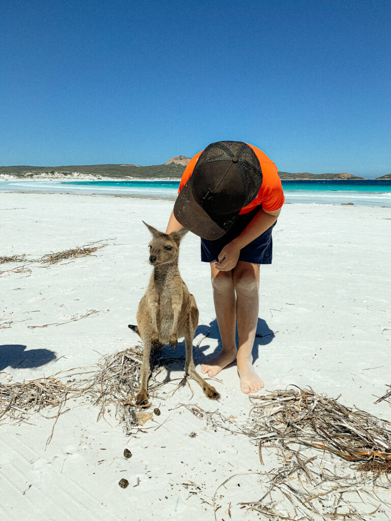 polacy na emigracji, o życiu w Australii zachodniej, Perth, Australia, ekspaci w Australii, polonia w Australii, Polacy za granicą, polska rodzina w australii, kangury Australia, plaże Australia, przyroda Australia