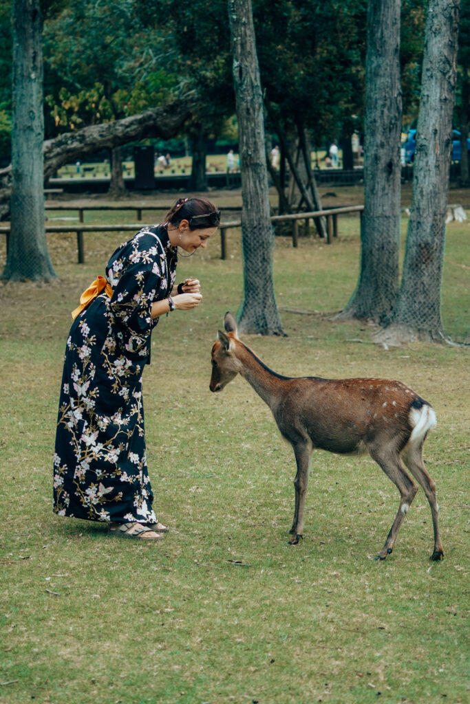 Japonia, e-book o Japonii, subiektywny przewodnik po Japonii, Japonia ścieżkami rodziny nomadów, Tokio, Kioto, Osaka, przewodnik po Japonii