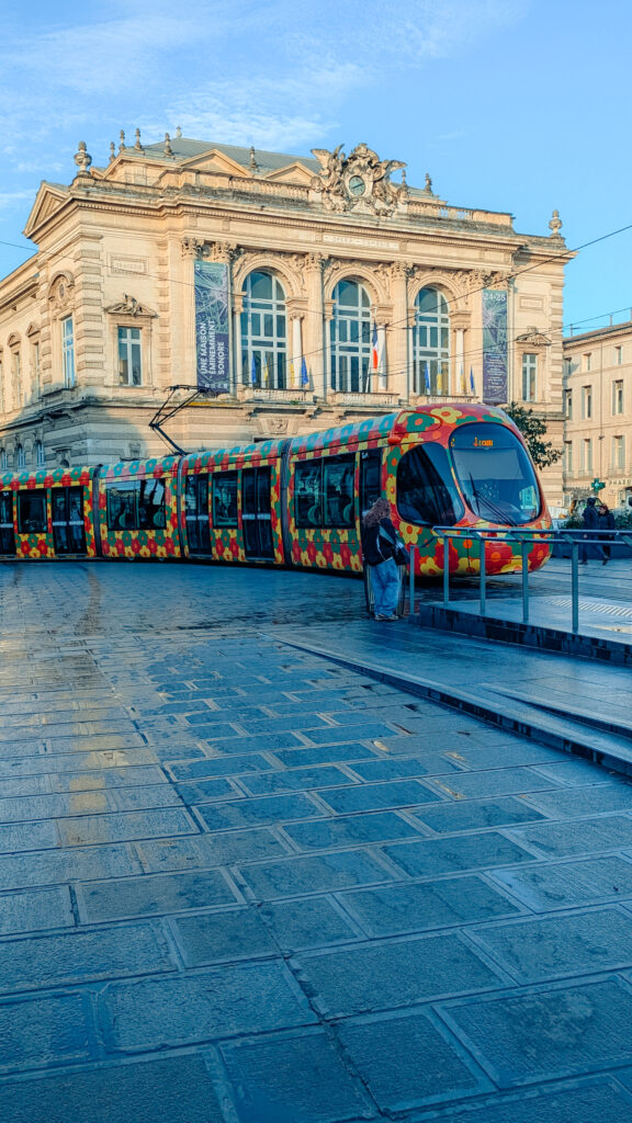 montpellier we Francji, co warto zobaczyć w montpellier, jak dojechać do montpellier, przewodnik po montpellier, francja, montpellier z dziećmi, atrakcje montpellier, gdzie spać w montpellier, montpellier zabytki, montpellier przewodnik