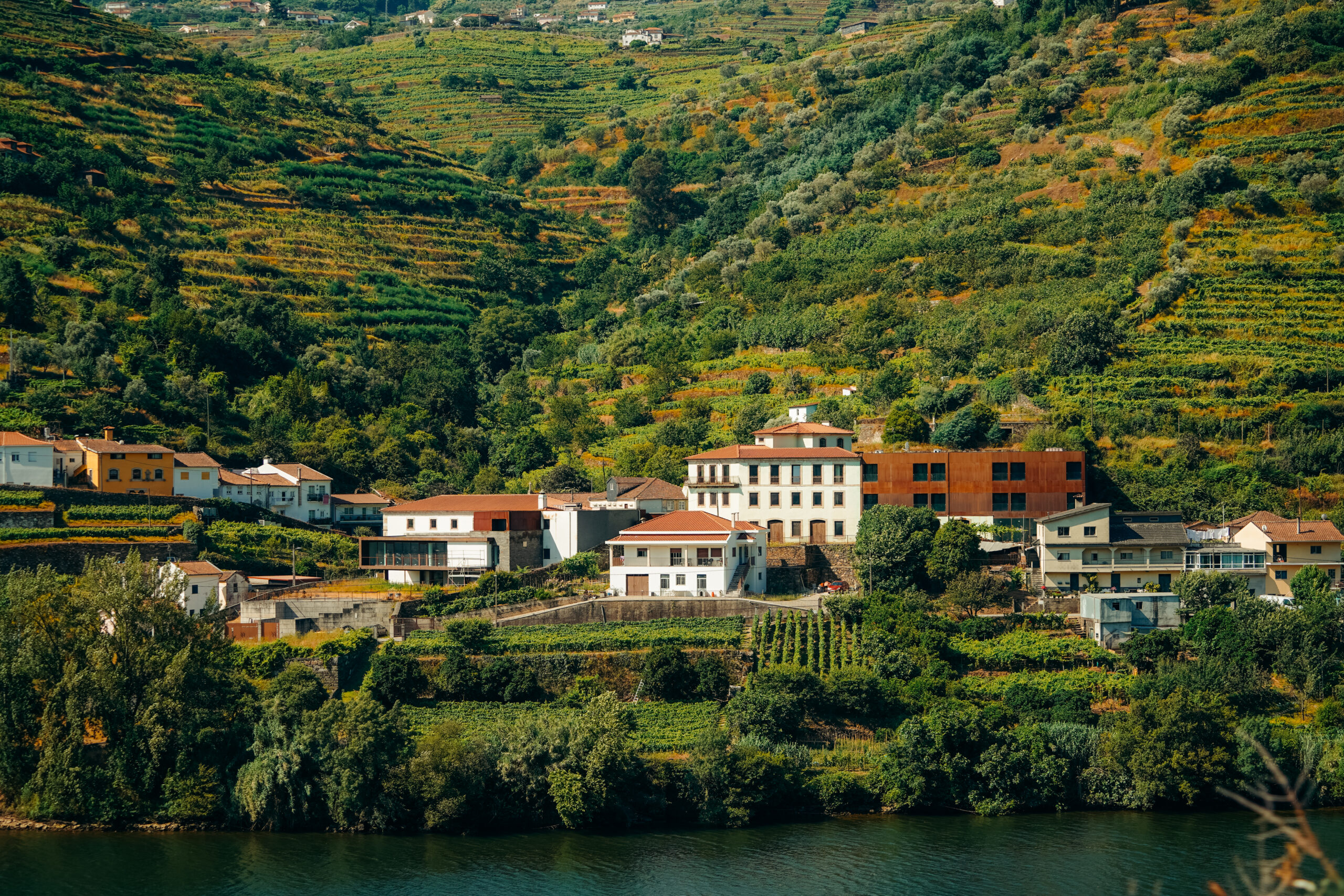Dolina Douro – przewodnik po winnicach, pociągach i pięknych krajobrazach