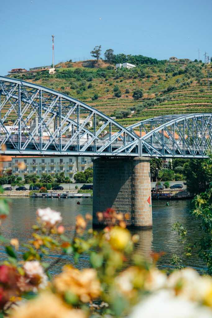 winnice w okolicach Pinhão, dolina Douro, dolina douro praktycznie, linha do douro, porto, portugalia