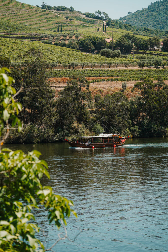 winnice w okolicach Pinhão, dolina Douro, dolina douro praktycznie, linha do douro, porto, portugalia