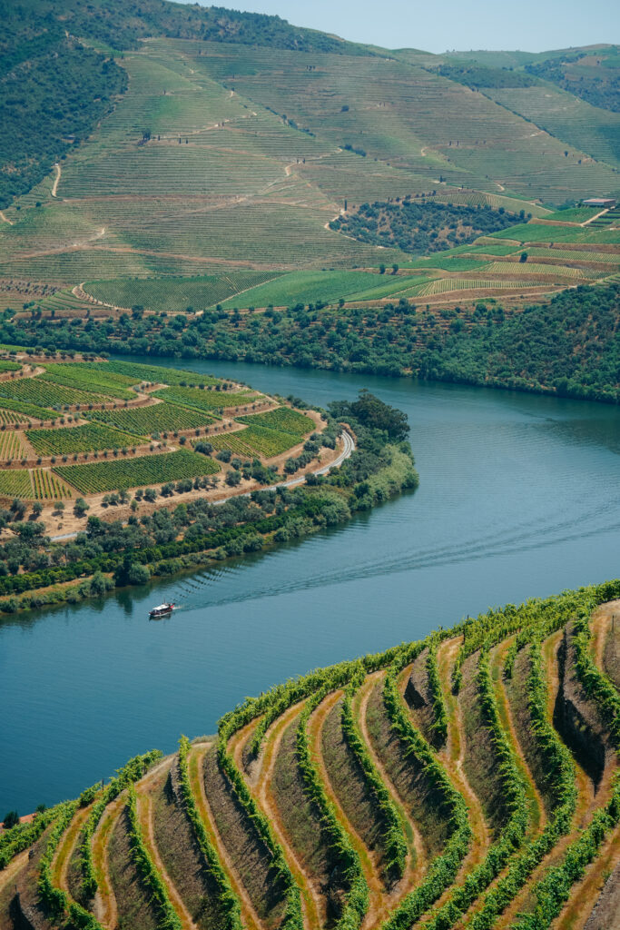 winnice w okolicach Pinhão, dolina Douro, dolina douro praktycznie, linha do douro, porto, portugalia