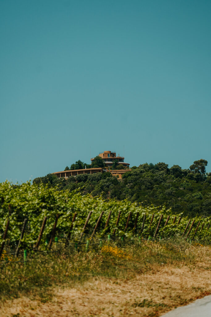 winnice w okolicach Pinhão, dolina Douro, dolina douro praktycznie, linha do douro, porto, portugalia