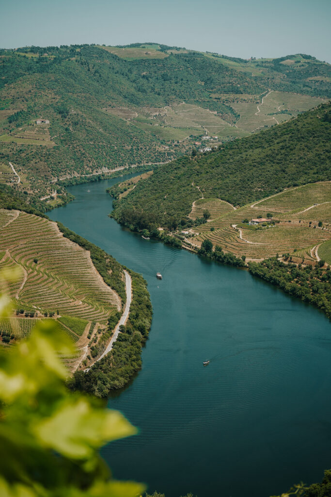 winnice w okolicach Pinhão, dolina Douro, dolina douro praktycznie, linha do douro, porto, portugalia