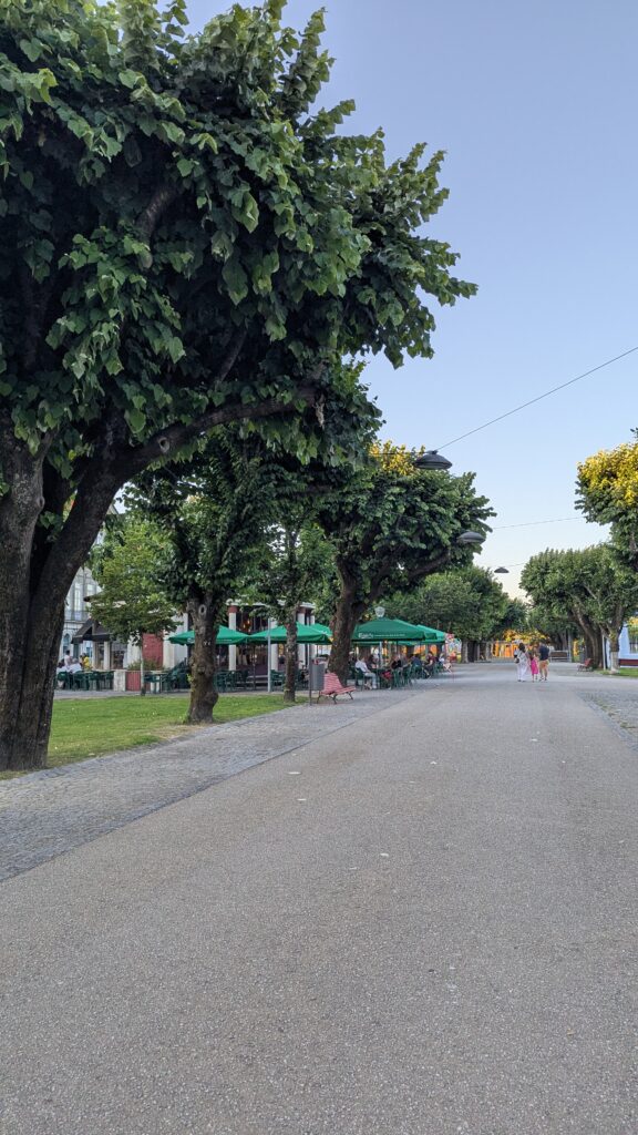 viana do castelo, portugaliia, praia do cabedelo, sanktuarium santa luzia, muzeum gil eannes