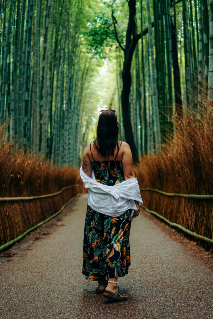 czego nie robić w Japonii, Japonia, nie smarkaj w miejscach publicznych, nie zostawiaj napiwku, ruch lewostronny, nara, jelonki w narze, geisza, maiko