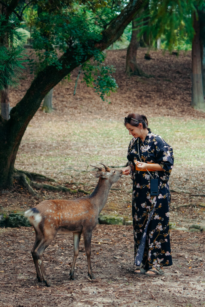 czego nie robić w Japonii, Japonia, nie smarkaj w miejscach publicznych, nie zostawiaj napiwku, ruch lewostronny, nara, jelonki w narze