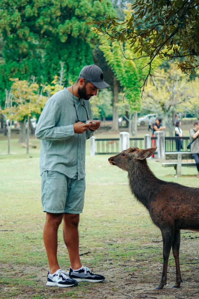czego nie robić w Japonii, Japonia, nie smarkaj w miejscach publicznych, nie zostawiaj napiwku, ruch lewostronny, nara, jelonki w narze