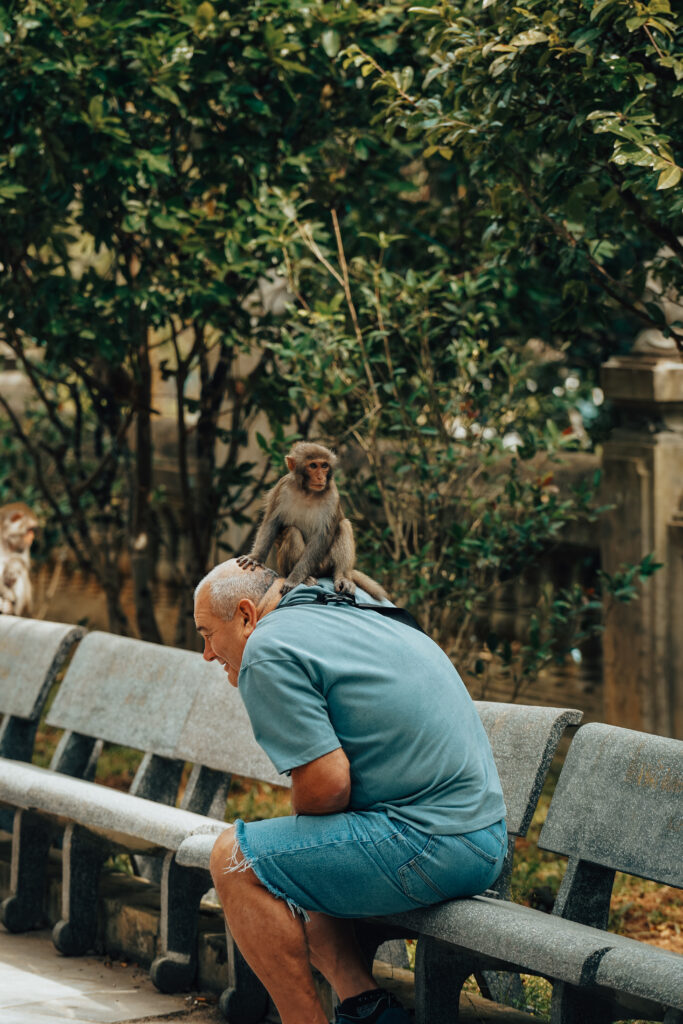 wietnam, pogoda w wietnamie, czy wietnam jest tani, regiony wietnamu, ruch uliczny w wietnamie, streetfood wietnam