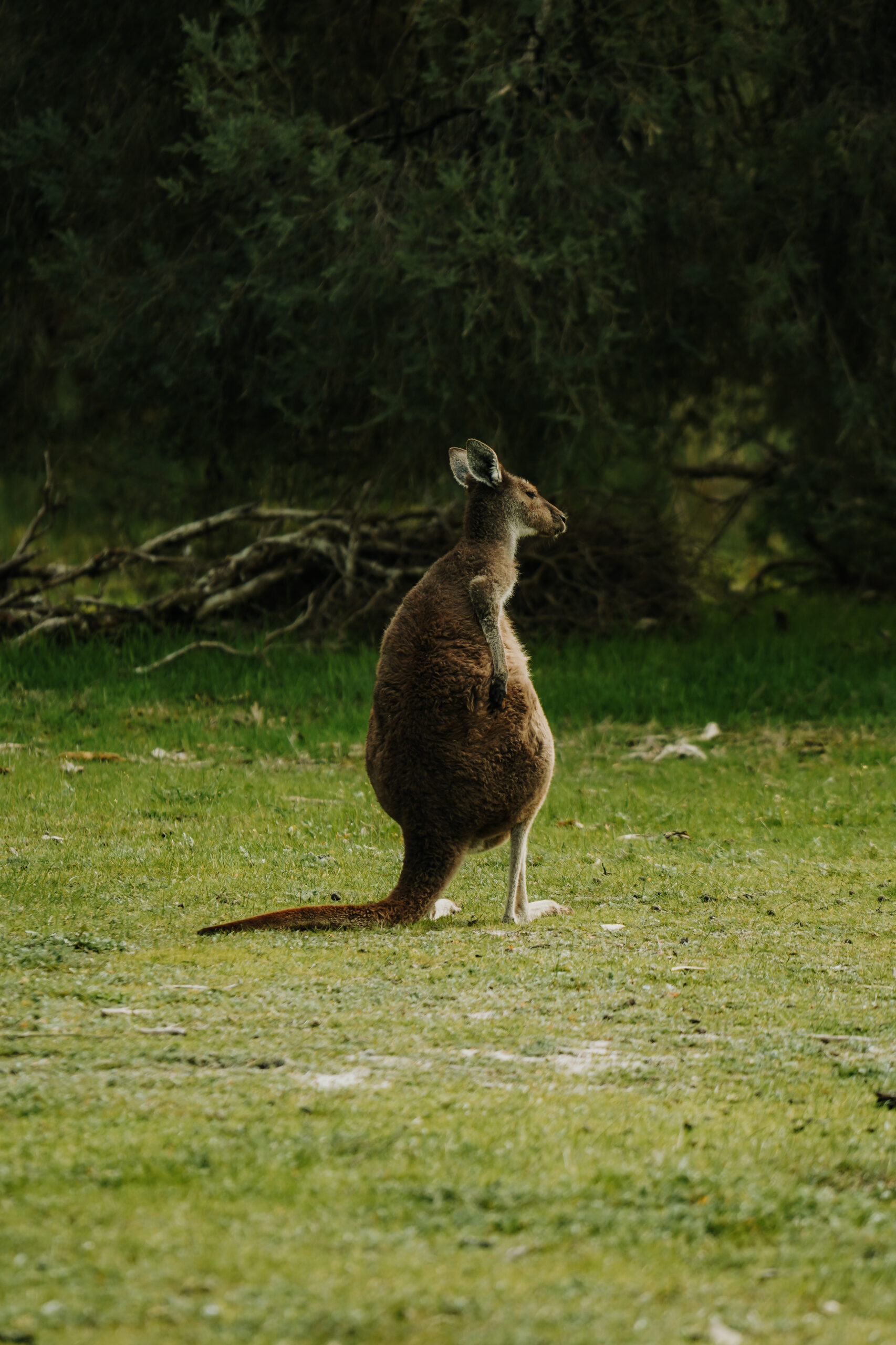Perth, Australia – informacje praktyczne, które warto znać przed podróżą