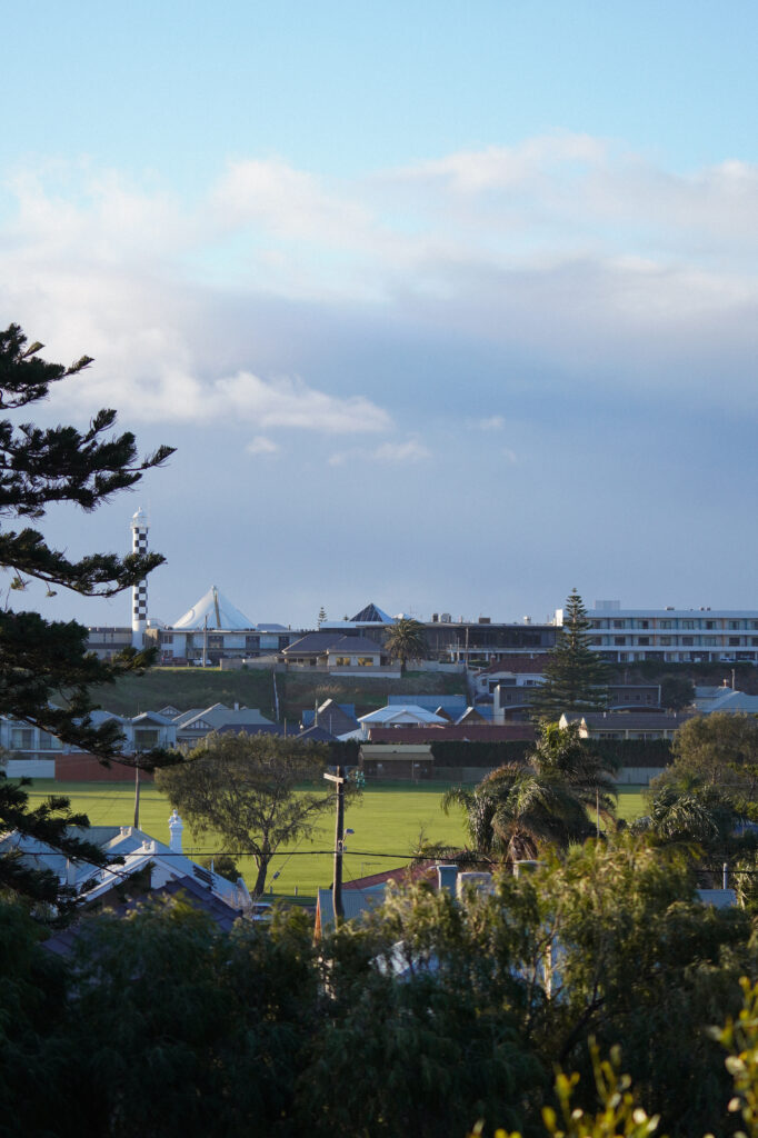 perth, australia, pająki, czego nie można wwozić do australii, niebezpieczna fauna i flora, regiony australii