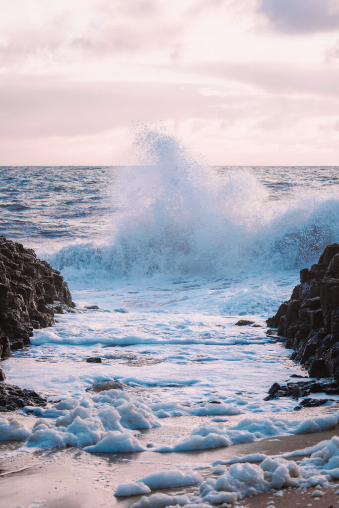 perth, perth top atrakcje, australia, australia zachodnia, kangury, gdzie nocować w perth, plaże w perth, parki narodowe w perth