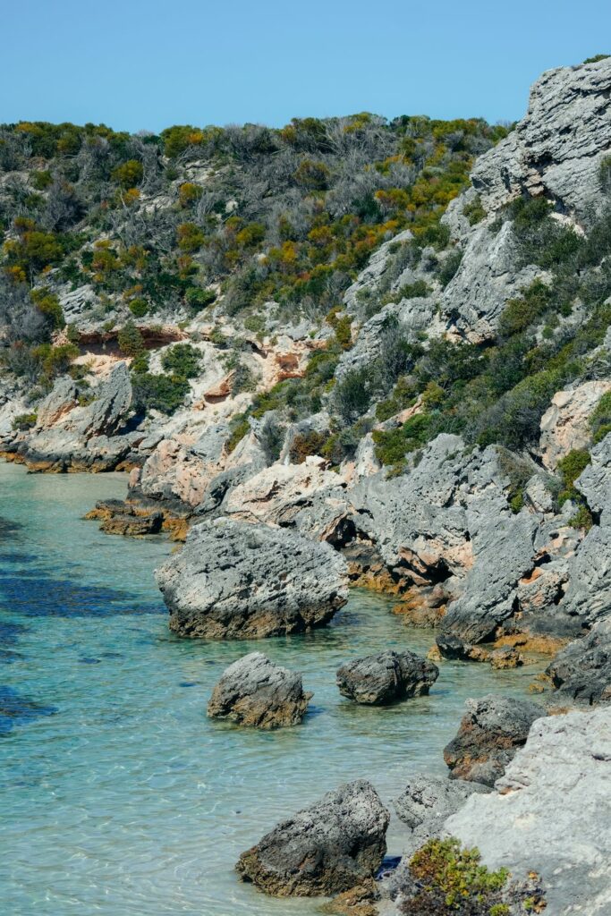 wyspa rottnest, australia zachodnia, quokki, jak dostać się na wyspę rottnest, jak poruszać się po wyspie rottnest, australia