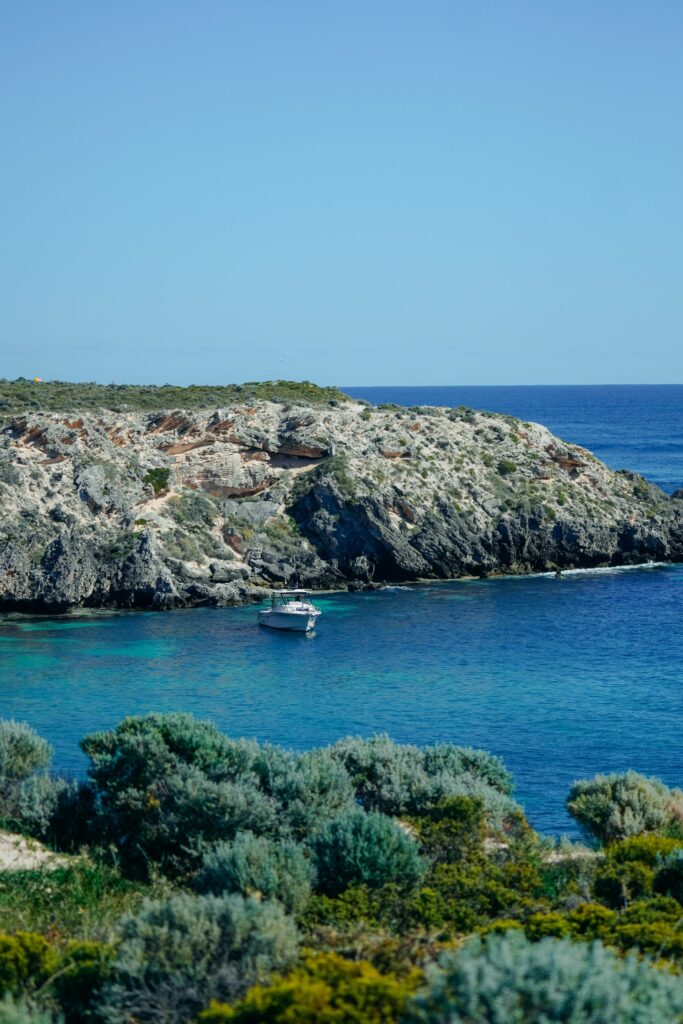 wyspa rottnest, australia zachodnia, quokki, jak dostać się na wyspę rottnest, jak poruszać się po wyspie rottnest, australia