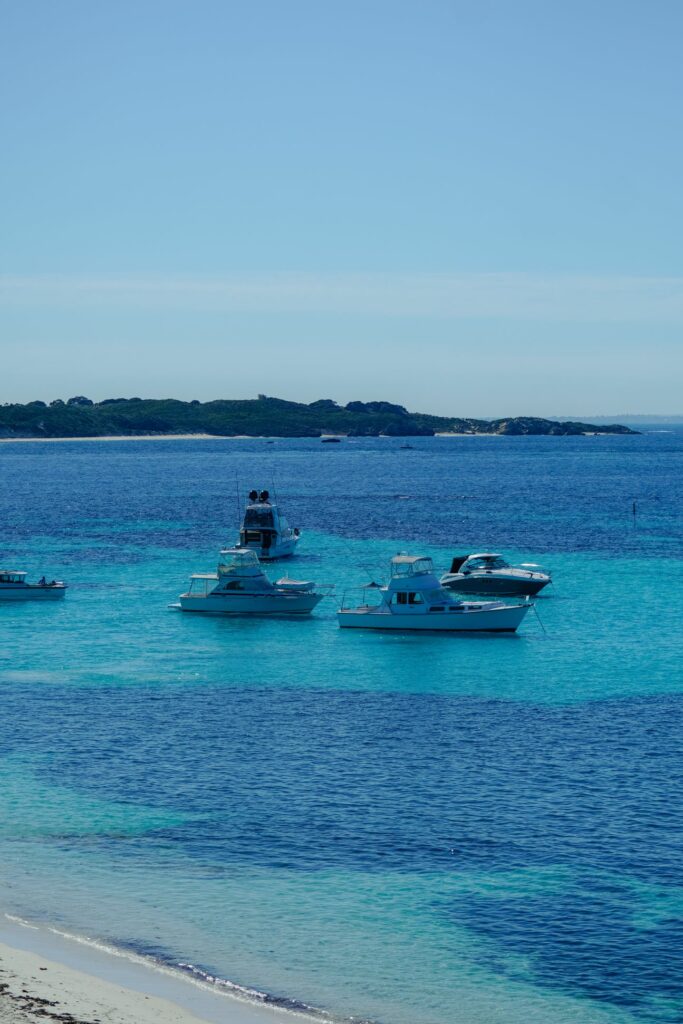 wyspa rottnest, australia zachodnia, quokki, jak dostać się na wyspę rottnest, jak poruszać się po wyspie rottnest, australia