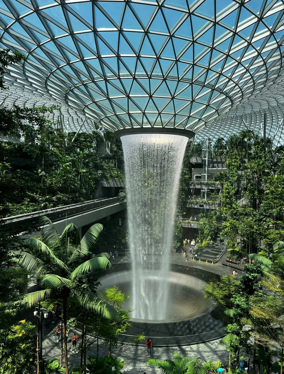 O sukcesach, wyzwaniach i życiu w Singapurze